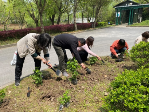 1618984228973007502.png image.png