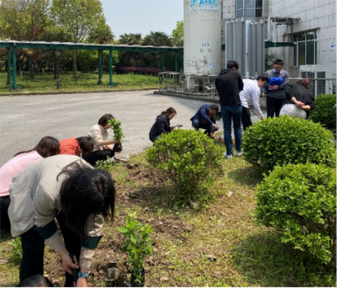 1618984245066063027.png image.png